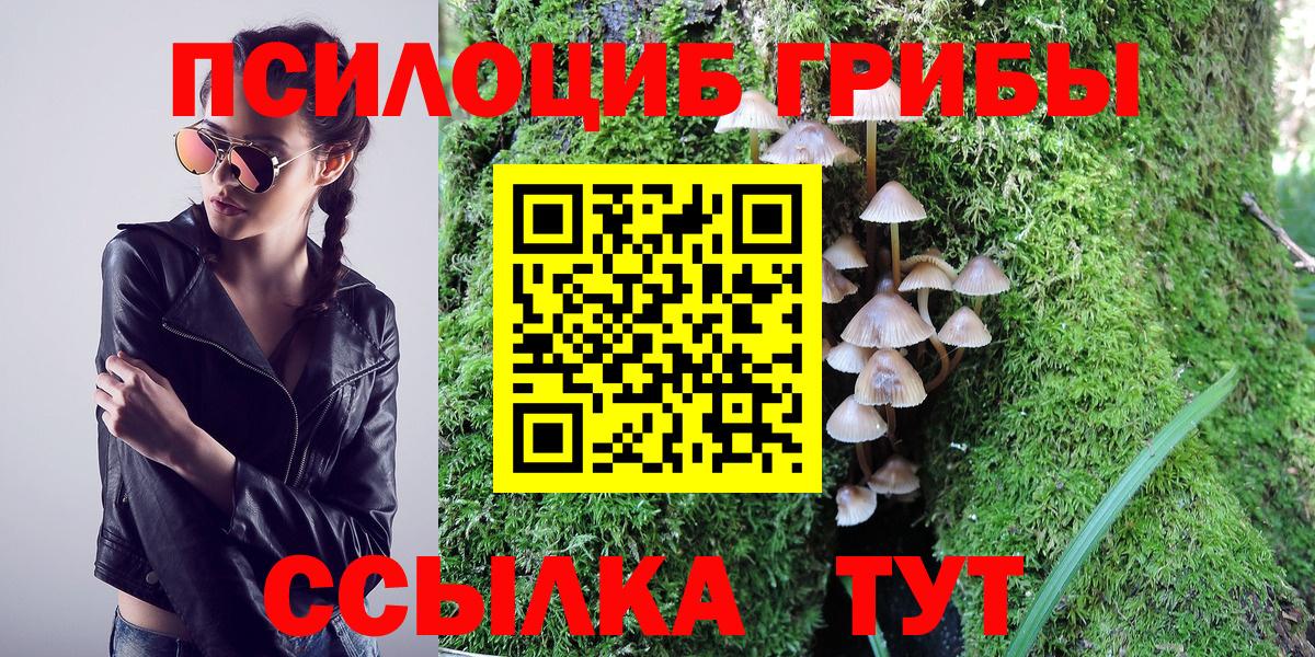 Галлюциногенные грибы GOLDEN TEACHER  Вход с VPN  Сердобск 